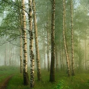 Фотография от Марина Сидорова