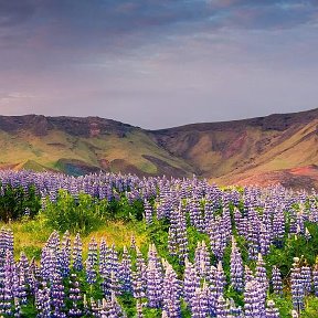 Фотография от Любовь Якимова