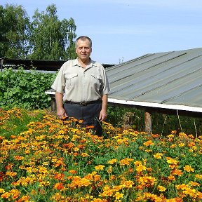 Фотография "Шестьдесят седьмой распечатал"