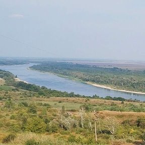 Фотография от Букеты радости Элла