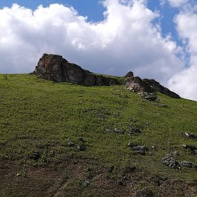 Фотография от Алена Черепанова