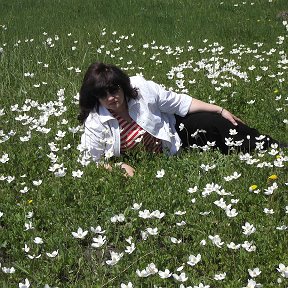 Фотография "Обожаю эти первые полевые цветы...."