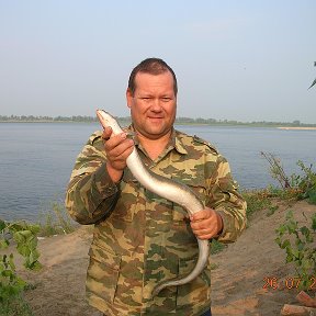 Фотография "волжский угорь"