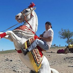 Фотография от РАВШАH КАДЫРОВ АЗ ЗАЛИHИЙ