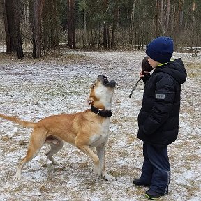 Фотография от Андрей Бельский