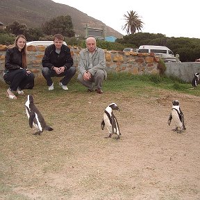 Фотография "Южно Африканская Республика  (ЮАР)  г Кейптаун ..... дочь Марина... сын Саша..   я... и 4е  пингвина..."