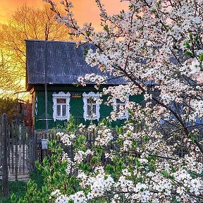 Фотография "КРАСОТА !!!!Смотрю на фото... словно в детстве побывал"