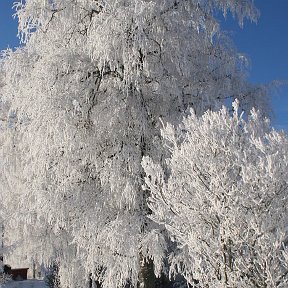 Фотография от Алексей Сергеевич