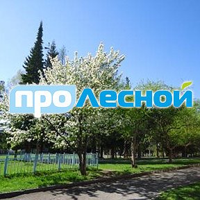 Фотография от Про Лесной