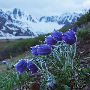 Фотография от Ольга Уварова