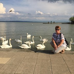 Фотография "Balaton Mai 2018"