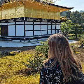 Фотография "Kyoto Japan 2023"