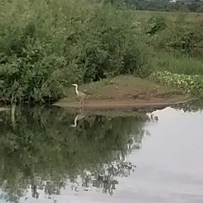 Фотография от Константин Р.