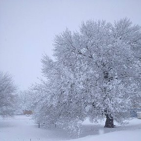 Фотография от Татьяна Шитухина (Елизарова)