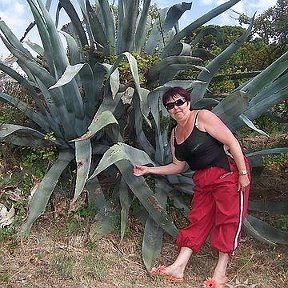 Фотография "ИСПАНИЯ. TOSSA de MAR  2008г."