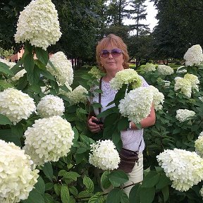 Фотография от Надежда Старцева