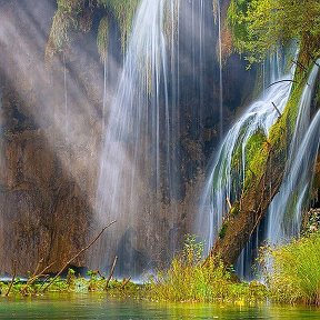 Фотография от Людмила Сычева