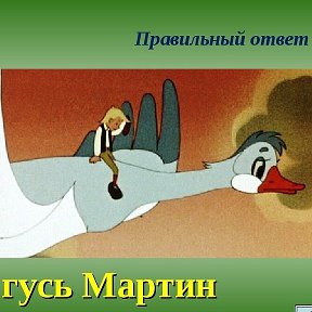 Фотография от Мартин Ангелович