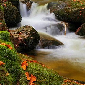 Фотография от Николай Муллин