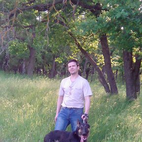 Фотография "Прогулка по лесу с Дольфиком.Дольфу 9 месяцев."