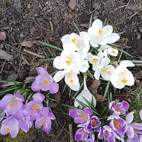 Фотография от Валентина Голова (Черкасова)