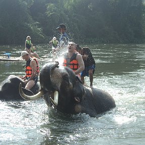 Фотография "купание красного слона"