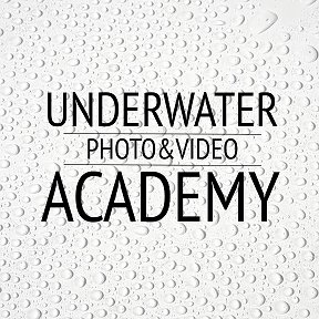 Фотография от UNDERWATER ACADEMY