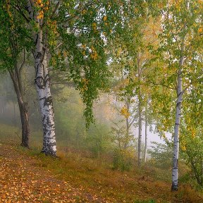 Фотография от Просто Человек