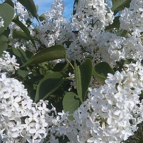 Фотография от Наталья Мусихина