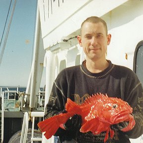 Фотография "Камчатка.Лето 1996,ЯМС "ТОМКОД" ЗАО ,,Акрос,,
Беренгово море...Золотая рыбка,исполни....."