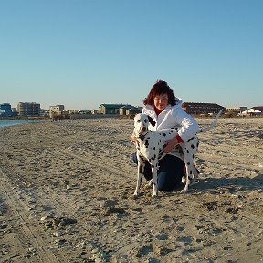 Фотография "Море и я  с Чивисом..."