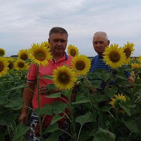 Фотография от Григорий и Анна Исиченко