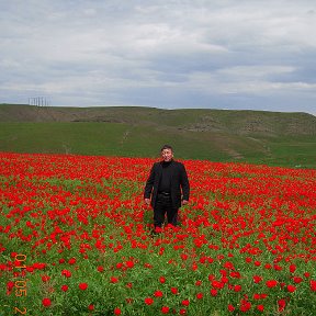 Фотография от Хасанбой Сулаймонов