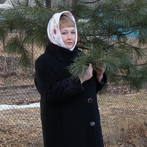 Фотография от Галина Кравченко (Гребнева)