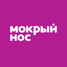 Фотография от Мокрый Нос