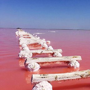 Фотография от Саки Реклама