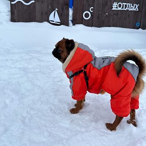 Фотография "Суровый колымский парень"