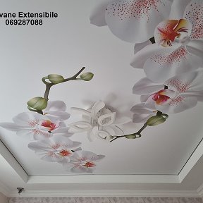 Фотография от Tavane Extensibile 3D 069287088