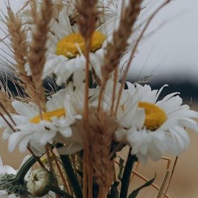 Фотография от Косметика Крыма Букеты из сухоцветов