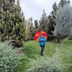 Фотография "Дождь.Весна. И я немножко.
Догадаться вам не сложно.
Парк.Прогулка и Озон.
Как красив весной газон.
Ашхабад.13.04.2024 г."