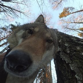 Фотография от юрий кушнер