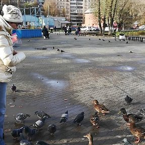 Фотография от Василек Гренадер