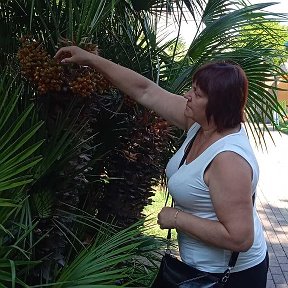 Фотография "Парк культуры и отдыха Лазаревское"