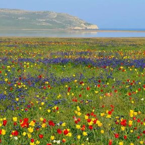 Фотография от Галина Морозова (Чёрна)