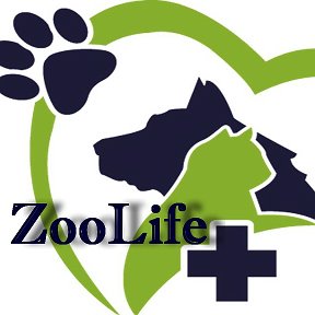 Фотография от ZooLife Шарья Зоолайф