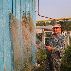 Фотография от александр гаврилин