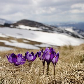 Фотография от Анна Маринович