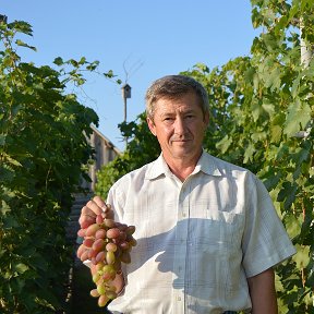 Фотография от Александр Кузьмин