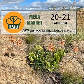 Фотография от Саша Тельпешов🌵🍄