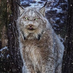 Фотография от Александр Александрович